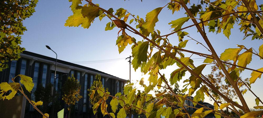 ����-����